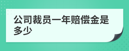 公司裁員一年賠償金是多少