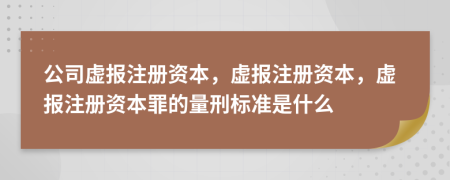 公司虛報(bào)注冊(cè)資本，虛報(bào)注冊(cè)資本，虛報(bào)注冊(cè)資本罪的量刑標(biāo)準(zhǔn)是什么