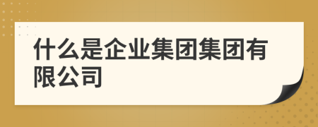 什么是企業(yè)集團集團有限公司