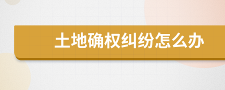 土地確權(quán)糾紛怎么辦