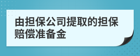 由擔(dān)保公司提取的擔(dān)保賠償準(zhǔn)備金