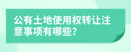 公有土地使用權轉讓注意事項有哪些？