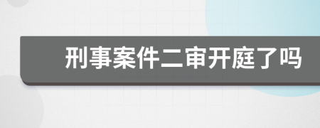 刑事案件二審開庭了嗎