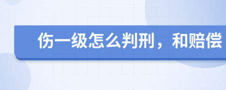 傷一級(jí)怎么判刑，和賠償