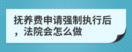 撫養(yǎng)費(fèi)申請強(qiáng)制執(zhí)行后，法院會(huì)怎么做