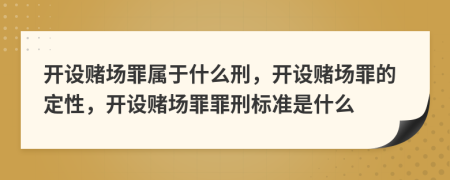 開設賭場罪屬于什么刑，開設賭場罪的定性，開設賭場罪罪刑標準是什么