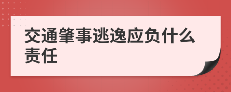 交通肇事逃逸應負什么責任