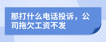 那打什么電話投訴，公司拖欠工資不發(fā)
