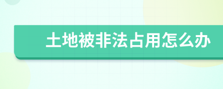 土地被非法占用怎么辦