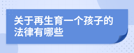 關(guān)于再生育一個孩子的法律有哪些