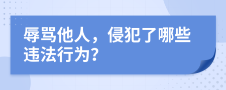 辱罵他人，侵犯了哪些違法行為？