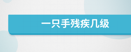 一只手殘疾幾級