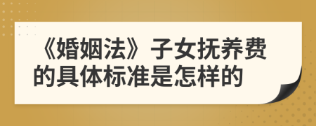 《婚姻法》子女撫養(yǎng)費的具體標準是怎樣的