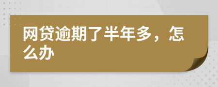 網(wǎng)貸逾期了半年多，怎么辦