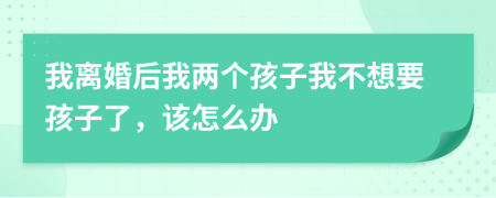 我離婚后我兩個(gè)孩子我不想要孩子了，該怎么辦
