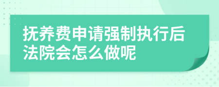 撫養(yǎng)費申請強制執(zhí)行后法院會怎么做呢
