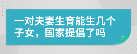 一對夫妻生育能生幾個子女，國家提倡了嗎