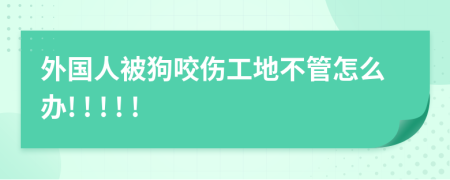 外國(guó)人被狗咬傷工地不管怎么辦! ! ! ! !