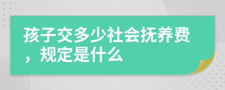孩子交多少社會(huì)撫養(yǎng)費(fèi)，規(guī)定是什么