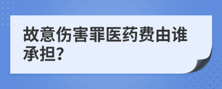 故意傷害罪醫(yī)藥費(fèi)由誰承擔(dān)？