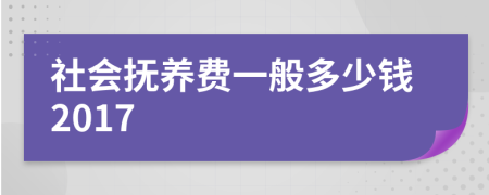 社會(huì)撫養(yǎng)費(fèi)一般多少錢(qián)2017