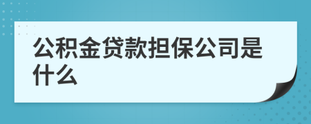 公積金貸款擔(dān)保公司是什么