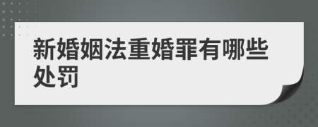 新婚姻法重婚罪有哪些處罰