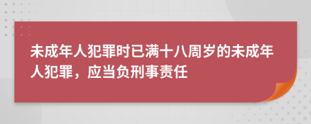 未成年人犯罪時(shí)已滿十八周歲的未成年人犯罪，應(yīng)當(dāng)負(fù)刑事責(zé)任