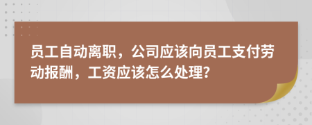 員工自動離職，公司應(yīng)該向員工支付勞動報(bào)酬，工資應(yīng)該怎么處理？