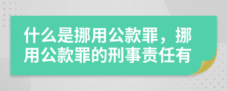 什么是挪用公款罪，挪用公款罪的刑事責(zé)任有