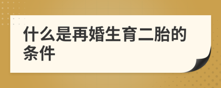 什么是再婚生育二胎的條件