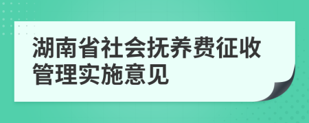 湖南省社會撫養(yǎng)費征收管理實施意見