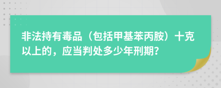 非法持有毒品（包括甲基苯丙胺）十克以上的，應(yīng)當(dāng)判處多少年刑期？