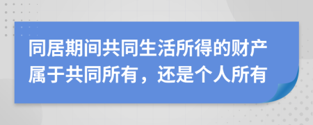 同居期間共同生活所得的財產屬于共同所有，還是個人所有
