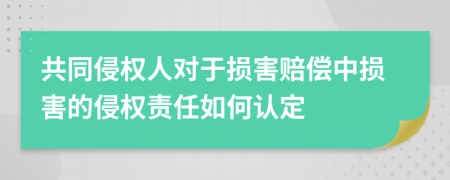 共同侵權(quán)人對于損害賠償中損害的侵權(quán)責(zé)任如何認定