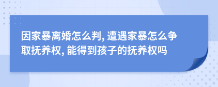 因家暴離婚怎么判, 遭遇家暴怎么爭取撫養(yǎng)權, 能得到孩子的撫養(yǎng)權嗎