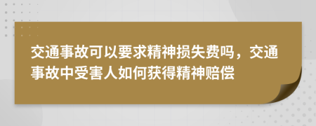 交通事故可以要求精神損失費(fèi)嗎，交通事故中受害人如何獲得精神賠償