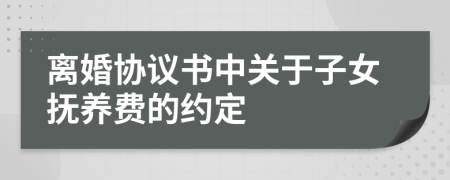 離婚協(xié)議書中關于子女撫養(yǎng)費的約定