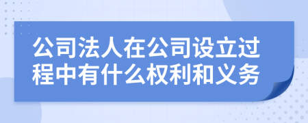 公司法人在公司設立過程中有什么權利和義務
