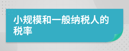 小規(guī)模和一般納稅人的稅率