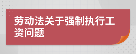 勞動(dòng)法關(guān)于強(qiáng)制執(zhí)行工資問題