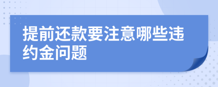 提前還款要注意哪些違約金問題