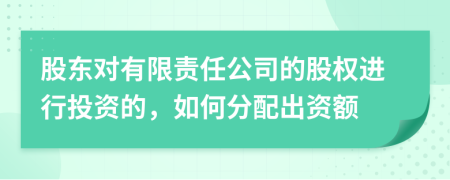 股東對有限責任公司的股權進行投資的，如何分配出資額