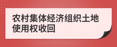 農(nóng)村集體經(jīng)濟(jì)組織土地使用權(quán)收回