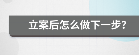 立案后怎么做下一步？