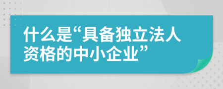 什么是“具備獨立法人資格的中小企業(yè)”