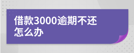 借款3000逾期不還怎么辦