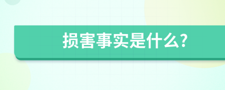 損害事實(shí)是什么?