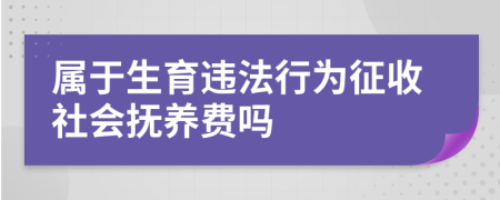 屬于生育違法行為征收社會撫養(yǎng)費(fèi)嗎