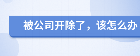 被公司開除了，該怎么辦